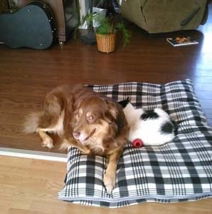 Meet your Posher, Maureen